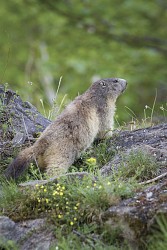 Arc 1600 vers le Col des Frettes