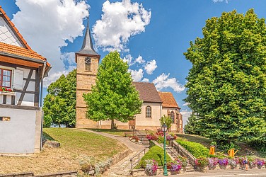 Walk between Soultz-sous-Forêts and Hohwiller