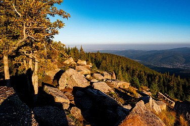 Circuit VTT B10 : Boucle sur les hauteurs de Lutzelhouse