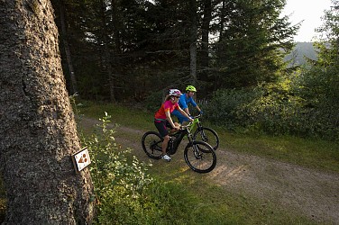 Mountain bike trail 9 - The heights of Ammerschwihr