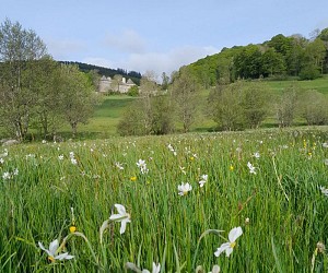 Le Château de la Baume