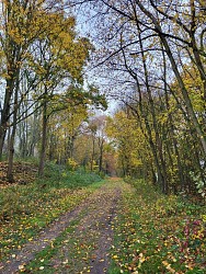 Coulée verte Crévecoeur-le-Grand à Croissy-sur-Celle