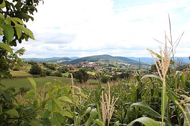 Circuit VTT n°108 bleu : Parfum d'Armont