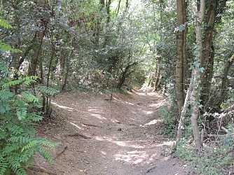 Circuit VTT 202 - Les Lapins