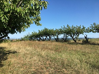 Circuit VTT 240 - Maison Forte