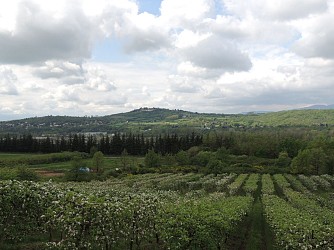 Circuit VTT 241 - La Vallée du Garon