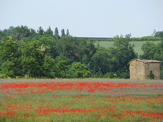 Circuit VTT 156 - Grand tour sur le Plateau