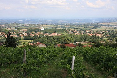 Circuit VTT 165  - Les Hauts de Mornant