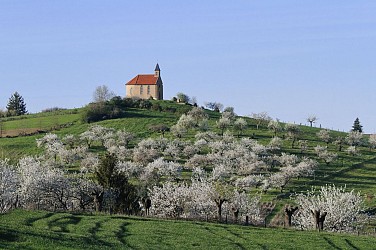 Circuit VTT 69 - Ripan