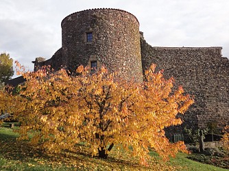 Circuit VTT 55 - Au pied de Montbloy