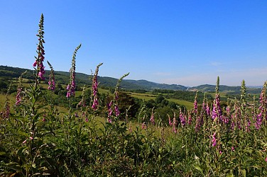 Circuit VTT 60 - Le Bois Charnay