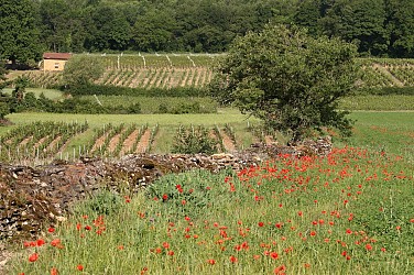 Circuit VTT 53 - Coteaux des Pierres Dorées