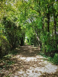 Sentier de la Fournière version longue - Villefagnan