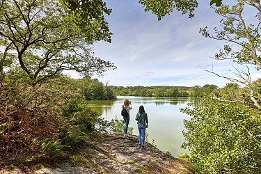 Muzillac: circuit de l'étang de Pen Mur