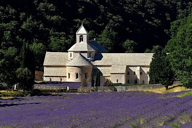 Gordes - Fontaine de Vaucluse (facile)