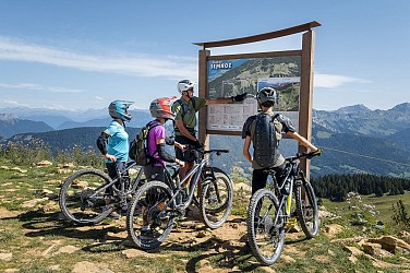L'insoumise - Piste de descente VTT