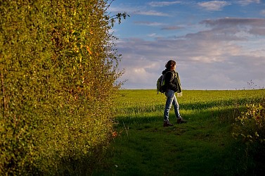 Entre plateau et vallée