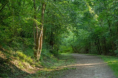 Compiègne à Pierrefonds par Vieux Moulin
