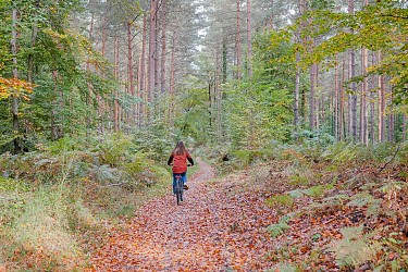Compiègne à Pierrefonds par St Jean aux Bois