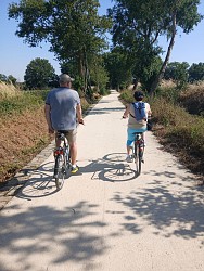 6 siècles d’histoire du Pays des Herbiers