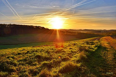 Découverte du vignoble
