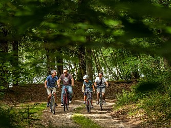 La Sologne à vélo
