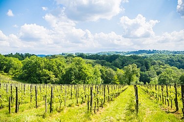 Saint-Faust - Vallée de la Juscle
