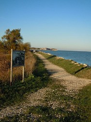 Le sentier du littoral au Château d'Oléron