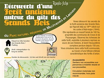 Sentier d'interprétation de la forêt ancienne des Grands Bois