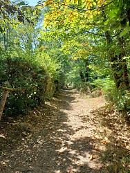 Boucle des cinq etangs