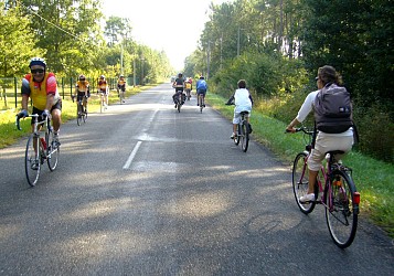 Boucle vélo L'arbre d'Or