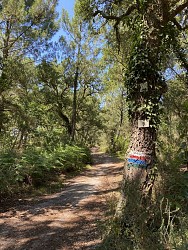 Sentier Lou coupe-came