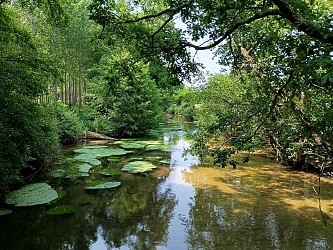 Casteljaloux, la Vive ! Casteljaloux la Douce