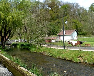 Balade à Roulettes n°40 : Le Virgou à Arette