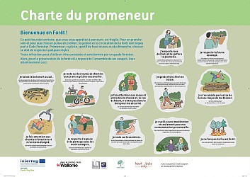 Sentier didactique Forest Fun de Momignie