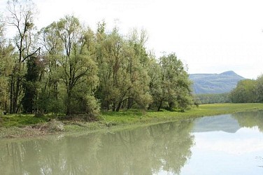 Balade pour personnes à mobilité réduite : Îles des Sables 