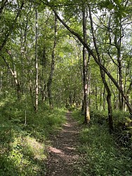 La promenade famille autour de Saint-Bertrand (77)