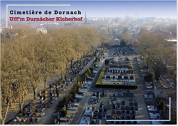 Visite du cimetière de DORNACH