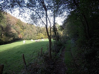 Chemin de la Fontaine Sucrée
