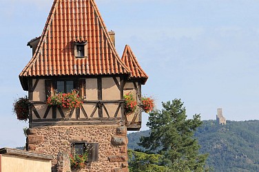 Circuit de visite à travers Châtenois