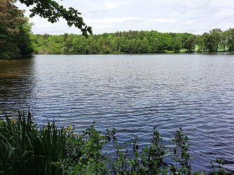 Randonnée - Étang du Chevalet