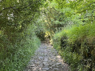 Les Palombières (82)