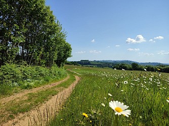 GRP®Monts et Barrages en Limousin - Etape 2 - De Bujaleuf à Saint-Julien-le-Petit