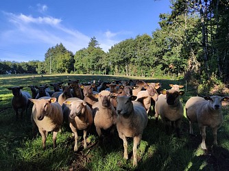GRP® Monts et Barrages en Limousin - Etape 5 - De Nedde à Eymoutiers