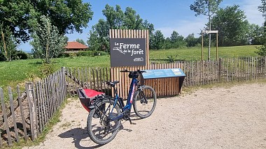 Circuit VTT-VTC n°17 (bleu) La Ferme de la Forêt – Haute chanée