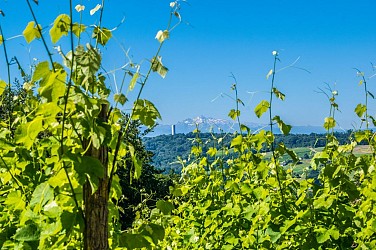 Arbus - Les coteaux du bois de bas