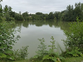 Voie Verte de L'Isle-Jourdain