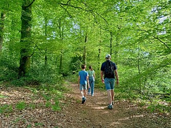 Circuit de la Pierre Enfouie
