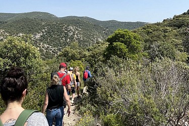 LAURIS - Portalas et biodiversité en chemin