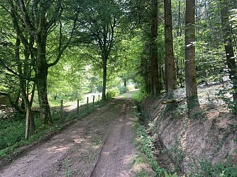 Randonnée à Loddes